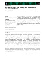 Báo cáo khoa học: ERK and cell death: ERK location and T cell selection pdf