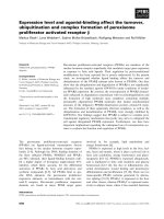 Báo cáo khoa học: Expression level and agonist-binding affect the turnover, ubiquitination and complex formation of peroxisome proliferator activated receptor b pptx