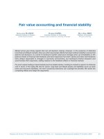Fair value accounting and ﬁnancial stability pdf