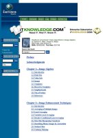 Handbook of Computer Vision Algorithms in Image Algebra by Gerhard X pdf