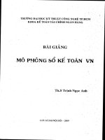 Bài giảng mô phỏng số kế toán Việt Nam - Ebook Online
