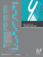 MASTER´S DEGREE FULL-TIME INTERNATIONAL BUSINESS STUDIES pptx