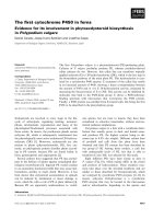 Báo cáo khoa học: The ﬁrst cytochrome P450 in ferns Evidence for its involvement in phytoecdysteroid biosynthesis in Polypodium vulgare doc