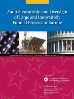 Audit Stewardship and Oversight of Large and Innovatively Funded Projects in Europe ppt