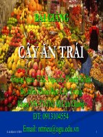 Cây ăn trái pptx