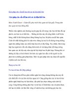 Giải pháp cho vấn đề lưu trữ các tài liệu khổ lớn potx