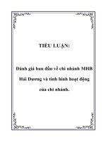 đánh giá ban đầu về chi nhánh mhb hải dương và tình hình hoạt động của chi nhánh