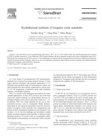 hydrothermal synthesis of tungsten oxide nanobelts