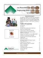 101 Powerful Tips for Legally Improving Your Credit Score docx
