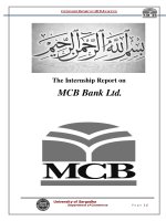 internship report on MCB bank ltd 2011