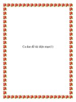 Những bài ca dao miêu tả diện mạo hình dáng pot