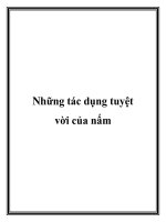Những tác dụng tuyệt vời của nấm potx