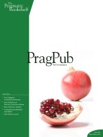 The Pragmatic Bookshelf: Prag Pub doc