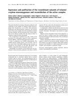 Báo cáo Y học: Expression and puriﬁcation of the recombinant subunits of toluene/ o-xylene monooxygenase and reconstitution of the active complex potx