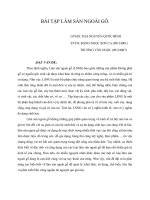 BÀI TẬP NHÓM: Mật ong rừng