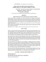 HIỆN TRẠNG ĐÀN TRÂU Ở MỘT SỐ ĐỊA PHƯƠNG ĐẠI DIỆN CHO CÁC VÙNG TRÂU TO TRONG CẢ NƯỚC potx