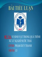 vi sinh trong quá trình xử lý kị khí nước thải