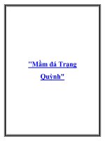 Mầm đá Trang Quỳnh doc