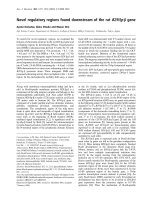 Báo cáo Y học: Novel regulatory regions found downstream of the rat B29/Ig-b gene docx