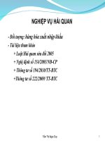 Nghiệp vụ hải quan potx