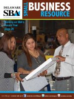 DELAWARE SMALL BUSINESS RESOURCE: Building on SBA’s Record Year potx