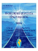 tiểu luận tổ chức bộ máy quản lý của công ty đại chúng