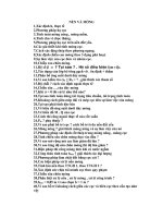 cau hoi nen mong 2 pptx