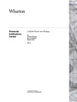Financial Institutions Center - Callable Bonds and Hedging potx