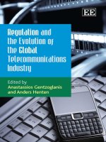 Regulation and the Evolution of the Global Telecommunications Industry pot