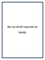 Báo cáo chi tiết trạng thái của MySQL. pot