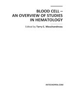 Blood Cell – An Overview of Studies in Hematology pptx