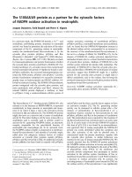 Báo cáo Y học: The S100A8/A9 protein as a partner for the cytosolic factors of NADPH oxidase activation in neutrophils doc