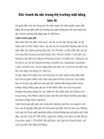 Bức tranh đa sắc trong thị trường mặt bằng bán lẻ pdf