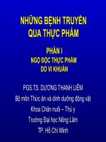 NHỮNG BỆNH TRUYỀN QUA THỰC PHẨM pdf