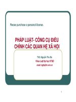 Pháp luật công cụ điều chỉnh hành vi xã hội ppt