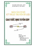 ĐỀ TÀI: GIAO THỨC ĐỊNH TUYẾN ĐỘNG OSPF doc