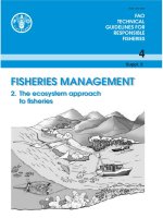 FISHERIES MANAGEMENT: The ecosystem approach to fisheries doc