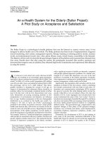 An e-Health System for the Elderly (Butler Project): A Pilot Study on Acceptance and Satisfaction pot