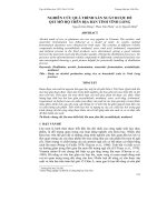 NGHIÊN CỨU QUÁ TRÌNH SẢN XUẤT RƯỢU ĐẾ QUI MÔ HỘ TRÊN ĐỊA BÀN TỈNH VĨNH LONG potx