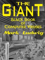 The giant black book of computer viruses