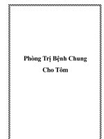 Phòng Trị Bệnh Chung Cho Tôm pot