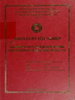 khóa luận tốt nghiệp ảnh hưởng của quy chế thương mại bình thường vĩnh viễn (pntr) đến quan hệ thương mại việt - mỹ