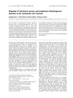 Báo cáo khoa học: Mapping of chorismate mutase and prephenate dehydrogenase domains in the Escherichia coli T-protein doc