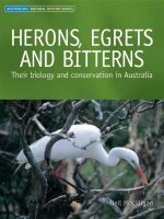 HERONS, EGRETS AND BITTERNS Their biology and conservation in Australia docx