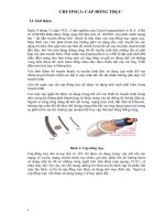 Cáp đồng trục pot