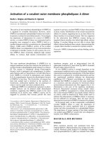 Báo cáo Y học: Activation of a covalent outer membrane phospholipase A dimer pptx
