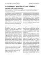 Báo cáo khóa học: GTP cyclohydrolase I utilizes metal-free GTP as its substrate pot