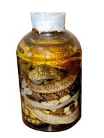 Tam xà tửu chủ trị bệnh xương khớp ppt