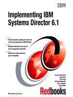 Implementing IBM Systems Director 6.1 pdf