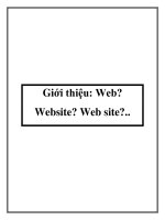Giới thiệu: Web? Website? Web site? pot